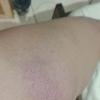 foto do perfil karina-